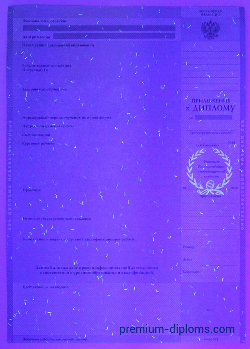 Диплом бакалавра 1997-2003 год фото